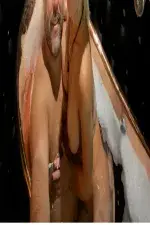 Cuck couple escorts's gallery photo 6